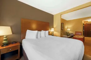 Best Western Plus Tupelo Inn & Suites - Chambre