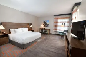 La Quinta Inn & Suites by Wyndham Wisconsin Dells- Lake Delton - Chambre