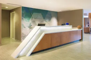 SpringHill Suites by Marriott Seattle Issaquah - Réception