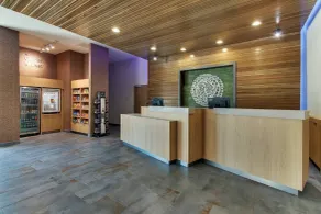 Fairfield Inn and Suites by Marriott Houston Brookhollow - Reception