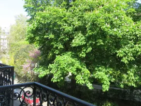 Gardette Park Hotel - Chambre