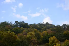 Ecokayan Dilijan Resort Hotel - View from room