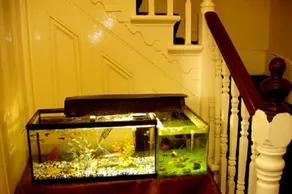 Chiswick Court Hotel - Détail de l’intérieur