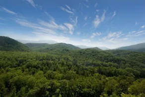 The Park Vista - a DoubleTree by Hilton Hotel - Gatlinburg - Vue de la chambre