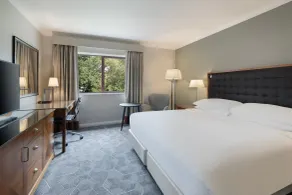 Delta Hotels by Marriott Waltham Abbey - Habitación