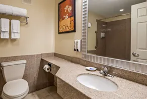 Baymont by Wyndham Pompton Plains/Wayne - Salle de bain