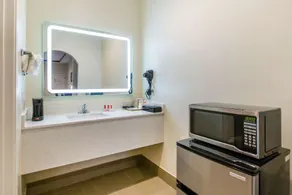 Econo Lodge Inn & Suites Houston Willowbrook - Bathroom