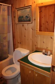Appalachian Camping Resort Park Model 2 - Badezimmer
