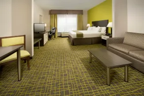 Holiday Inn Express & Suites Caryville by IHG - Chambre