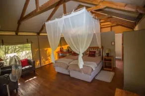 Lion Tree Top Lodge - Chambre