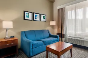 Comfort Inn & Suites Wildwood - The Villages - Chambre