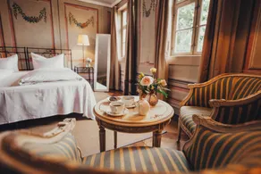 Hotel Villa Sorgenfrei  - Chambre