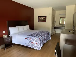 Red Roof Inn Houston - Willowbrook - Room