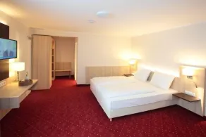 Hotel zur Schloß-Schenke - Room
