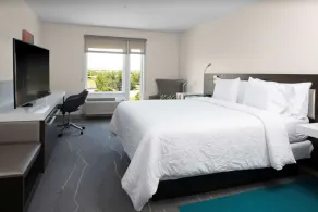 Hilton Garden Inn Denver/Thornton - Chambre