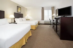 Holiday Inn Express Lexington Southwest Nicholasville by IHG - Room