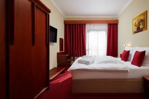 Wellness Hotel Lužan - Habitación