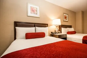 The Belvedere Hotel - Chambre