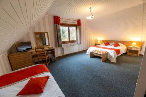 Logis - Hotel Restaurant La Sapinière - Proche Saint Omer - Værelse