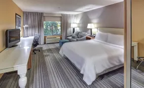 Hilton Garden Inn Portland/Beaverton - Chambre