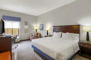 Hampton Inn Mobile-I-10/Bellingrath Gardens - Room