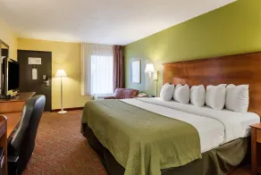 Quality Inn Blytheville - Zimmer