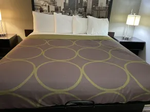 Delavan Inn and Suites - Chambre
