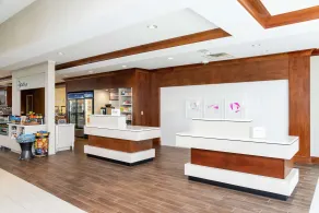 Hilton Garden Inn Indianapolis South/Greenwood - Réception