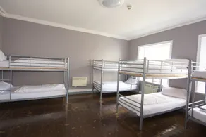 Albatross Hostel - Room