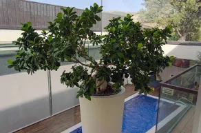 Dal Moro Gallery Hotel - Piscine