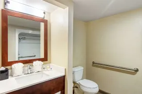 Comfort Suites Knoxville Airport - Salle de bain