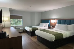 Wingate by Wyndham Macon I-475 - Chambre