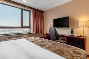 The L Hotel - Chambre