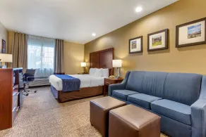 Comfort Inn Flagstaff South I-17 - Chambre