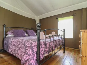 Foxglove - Habitación
