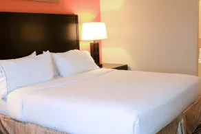 Holiday Inn Express Hotel & Suites Grand Island By IHG - Chambre