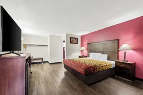 Econo Lodge Fallon Naval Air Station Area - Room