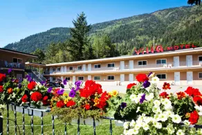 Villa Motel - Chambre