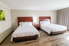 Hilton Garden Inn Bowling Green - Chambre