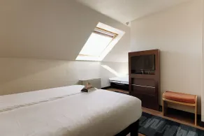 ibis Brussels Waterloo - Værelse