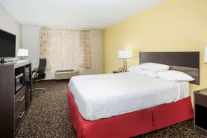 Days Inn by Wyndham Phoenix North - Chambre