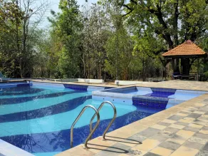The Celebration Van Vilas Kanha - Pool