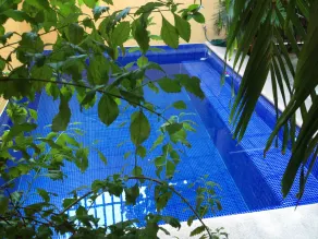 Hotel Las Salinas - Piscine