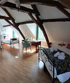 Moulin De Bacchus - Châteaux de la Loire - Zimmer