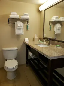 Wyndham Garden Dover - Salle de bain