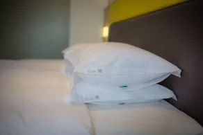 Holiday Inn Express Emei Mountain by IHG - Zimmer