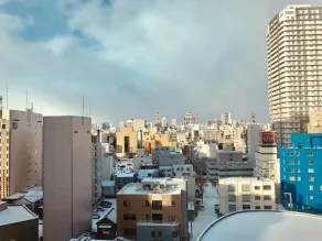 Hotel Resol Sapporo Nakajima Koen - View from room