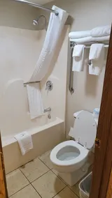 Quality Inn West-Branson Theatre District - Badrum