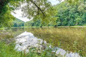 Marlinton Cabin Rental w/ Greenbrier River Access! - Innvendig