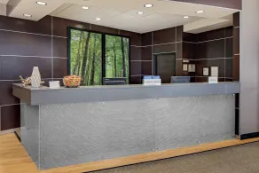 SpringHill Suites by Marriott Green Bay - Reception